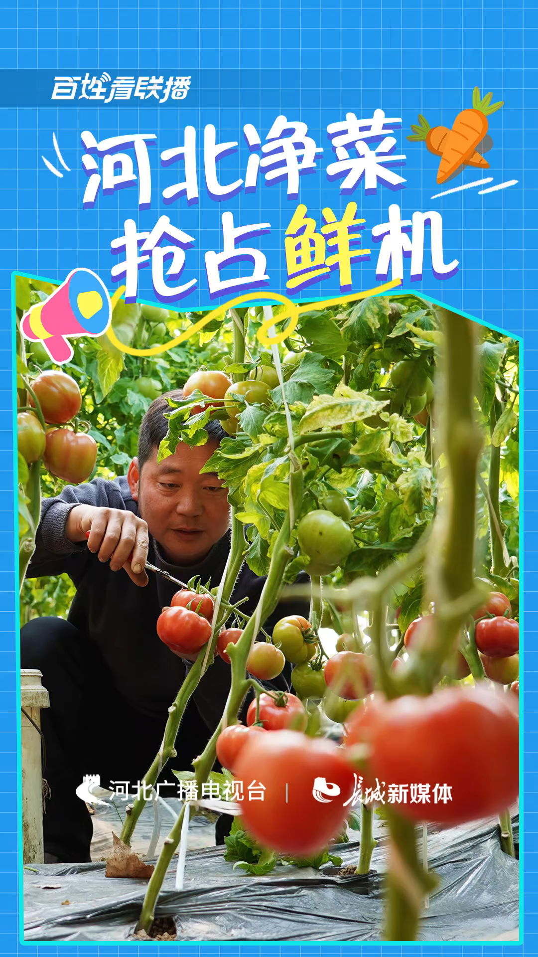 百姓看联播｜“河北净菜”抢占“鲜”机