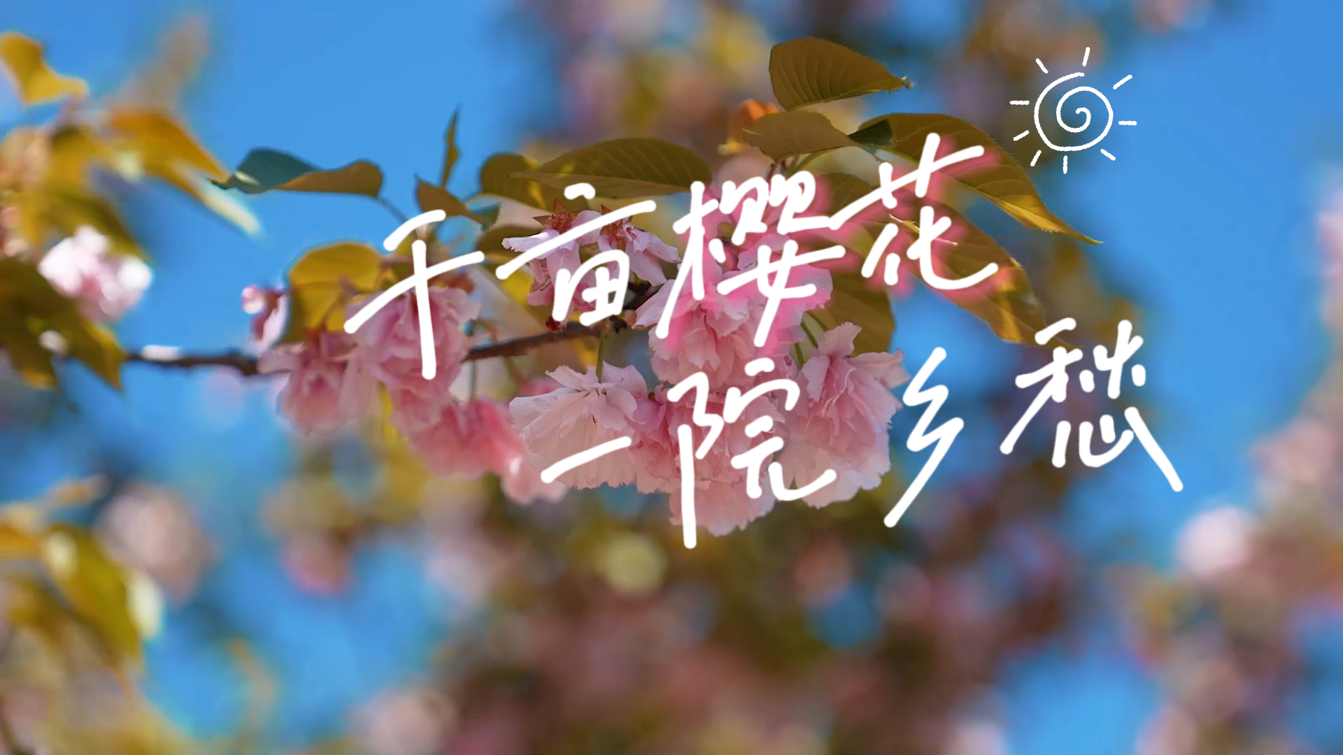 走在乡间小路上丨千亩樱花 一院乡愁