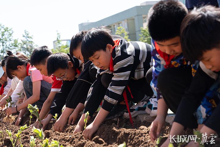 唐山迁安：医校携手育新苗 本草飘香润童心