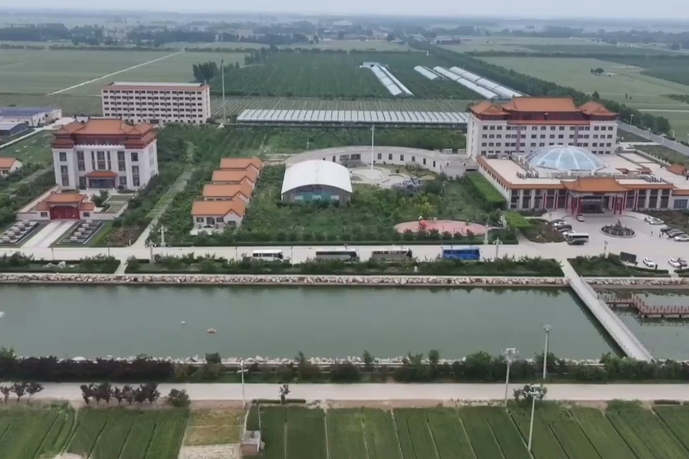 河北衡水：龙头领航兴特色 产业赋能促振兴