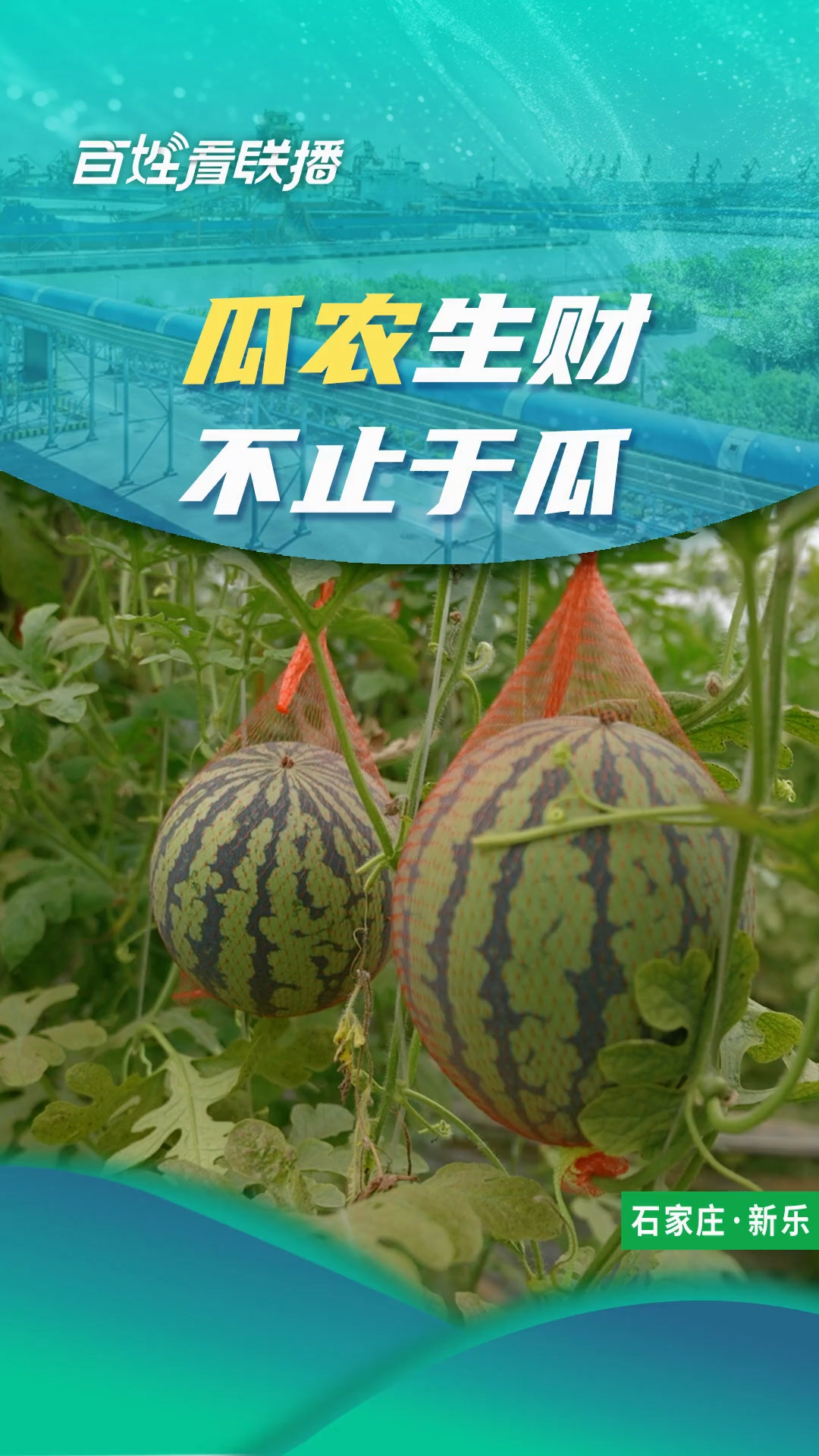百姓看联播｜瓜农生财不止于瓜