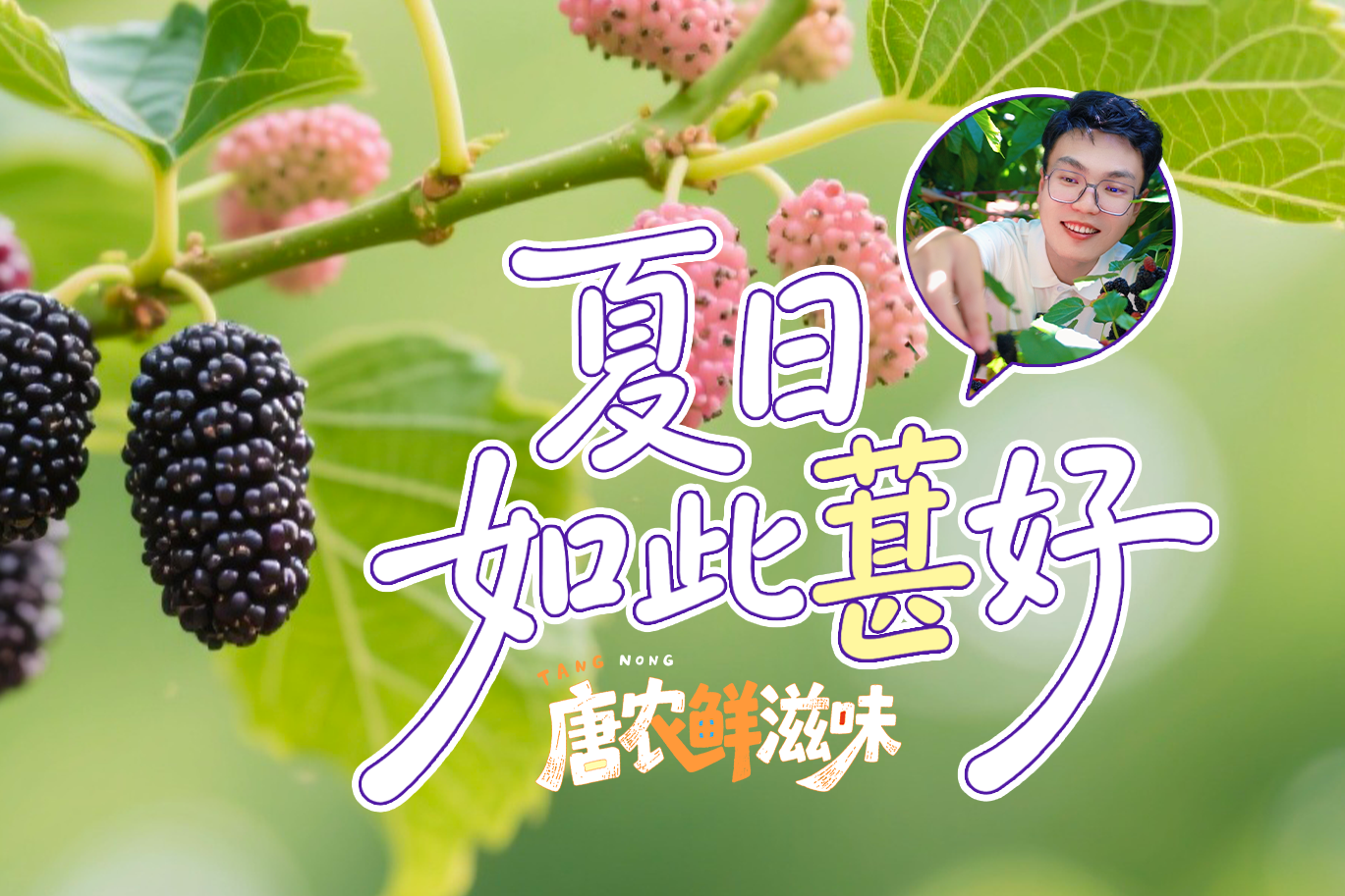 唐农鲜滋味丨夏日如此“葚”好