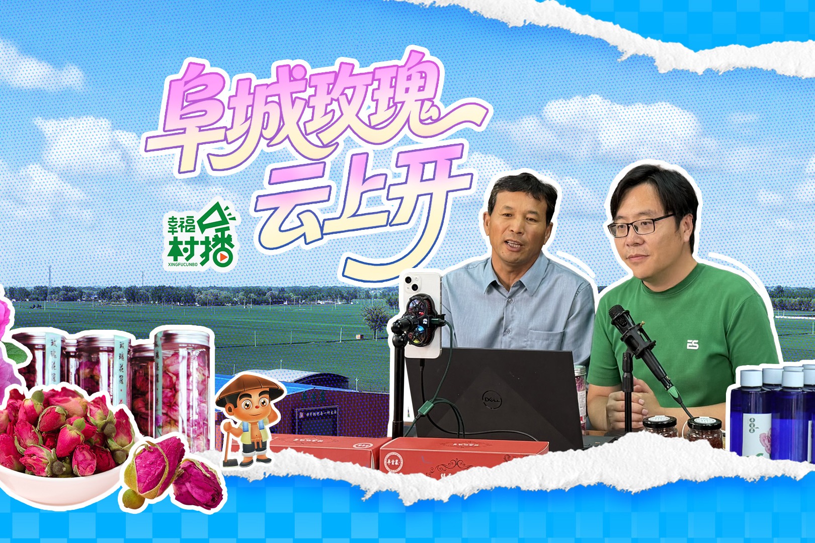 幸福生活开村播丨阜城玫瑰“云上开”