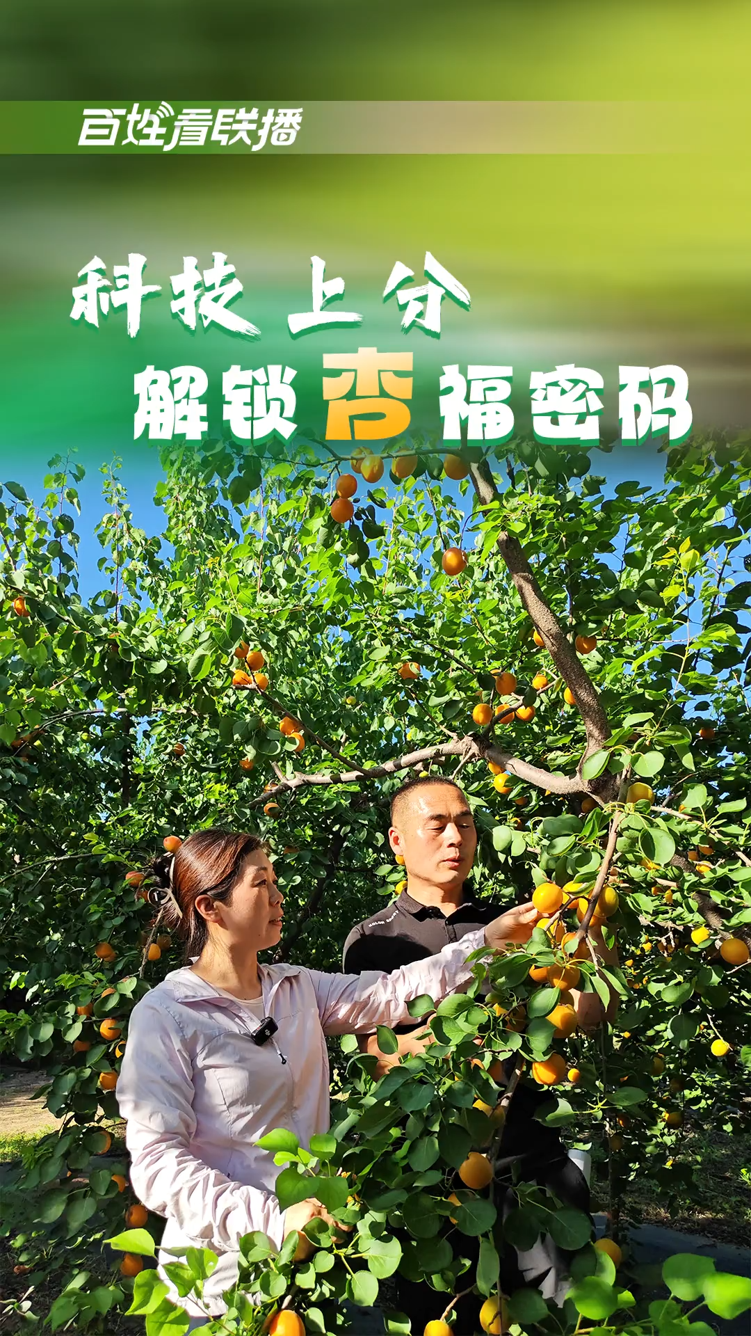 百姓看联播丨科技“上分” 解锁“杏”福密码