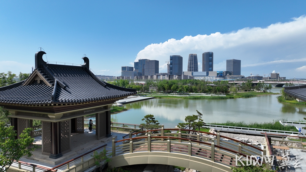 DJI_0137_副本