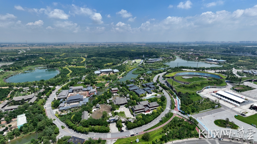 DJI_0085_副本_副本