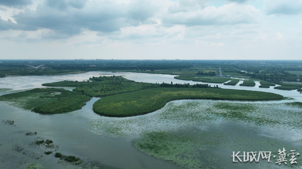 DJI_0099_副本