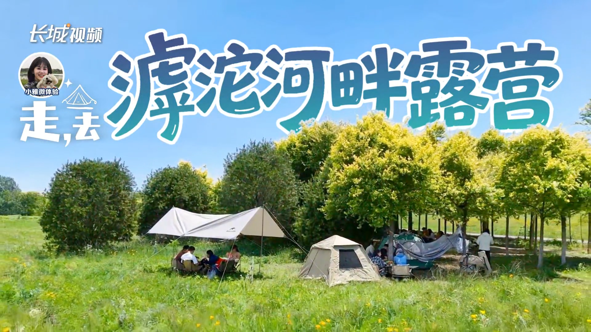 小雅微体验 | 走，去滹沱河畔露营