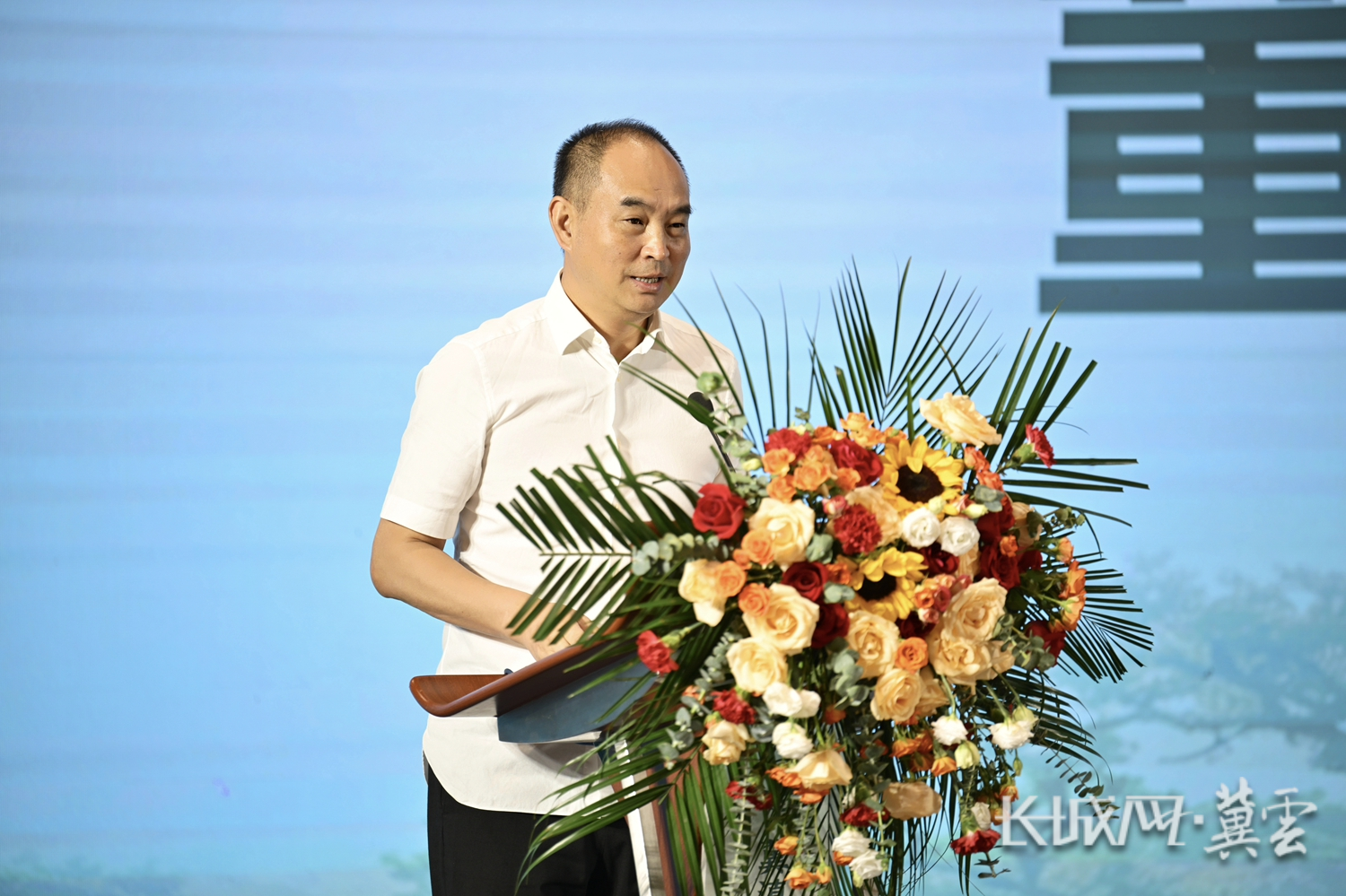 微信图片_20260608094609_653_141 微信图片_20260608094609_653_141