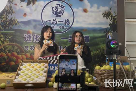 唐山遵化：电商助农 六百年贡杏做成大产业