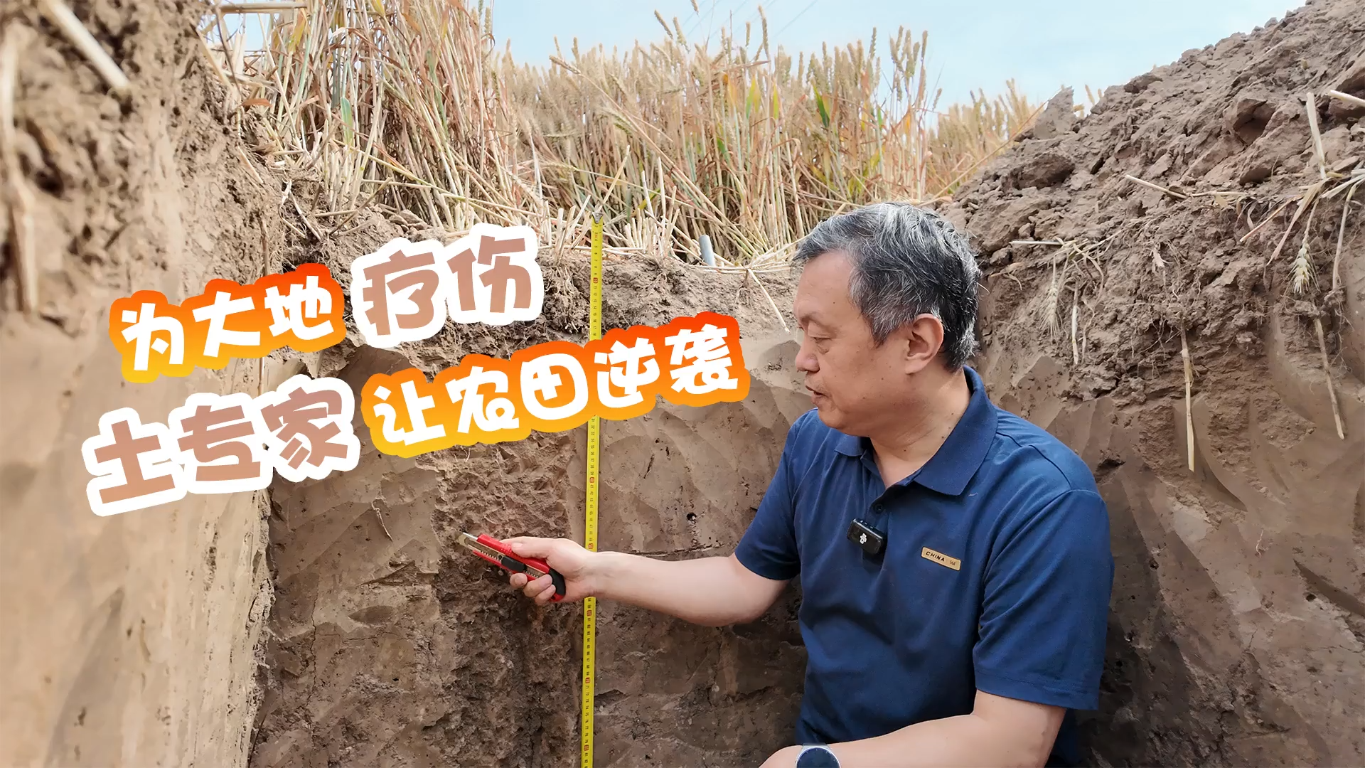 这片田野有良方｜为大地“疗伤” “土”专家让农田逆袭