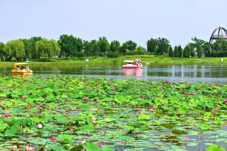 端午假期将至 衡水文旅发布文明出游温馨提示
