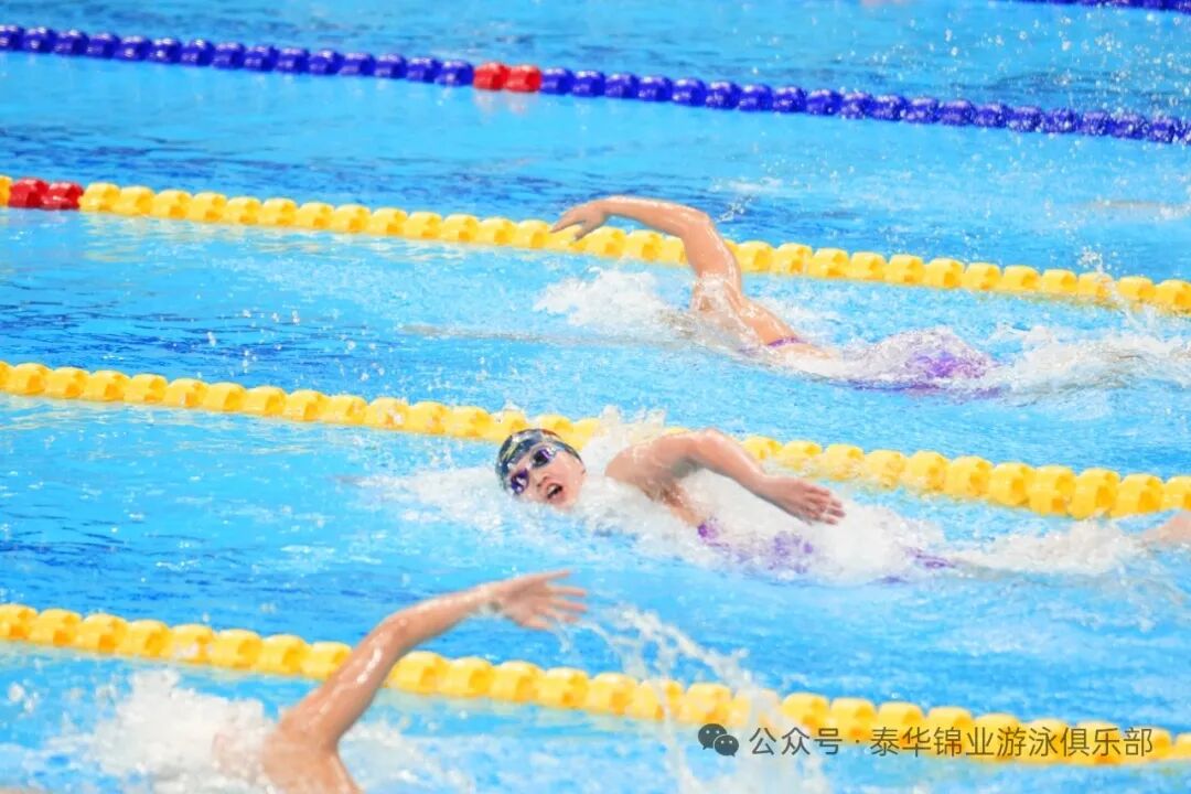全国游泳冠军赛 河北女子4×200米自由泳接力夺银