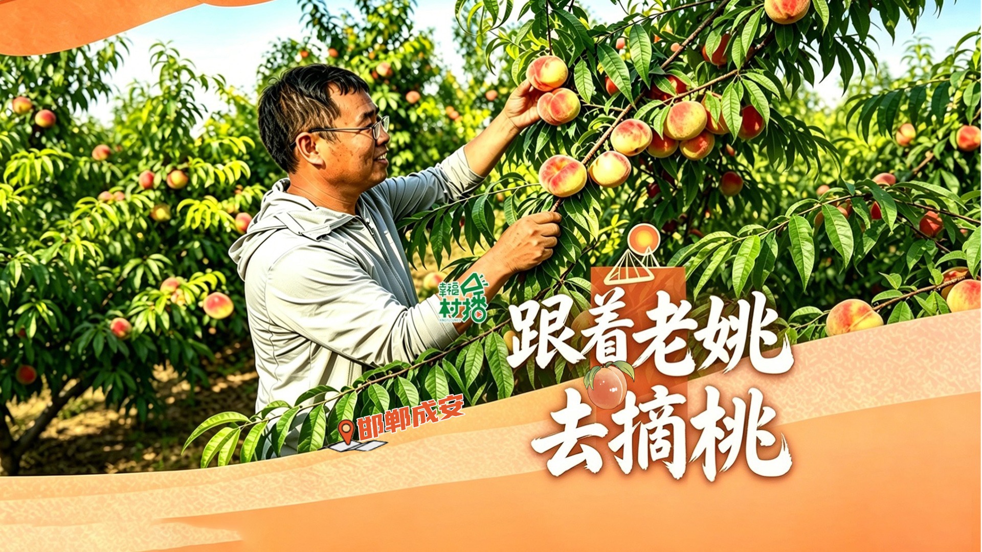 幸福生活开村播 | 邯郸成安：跟着老姚去摘桃