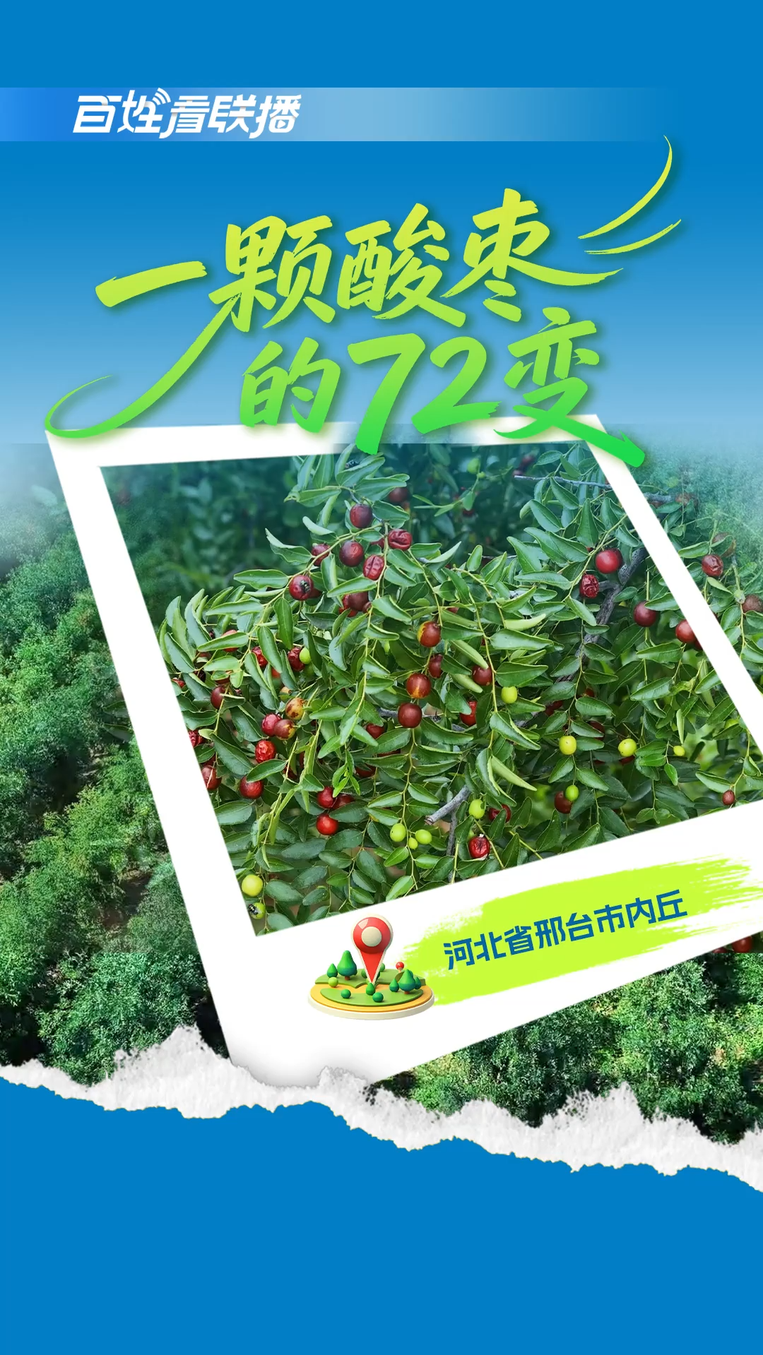 百姓看联播 | 一颗酸枣的“72变”