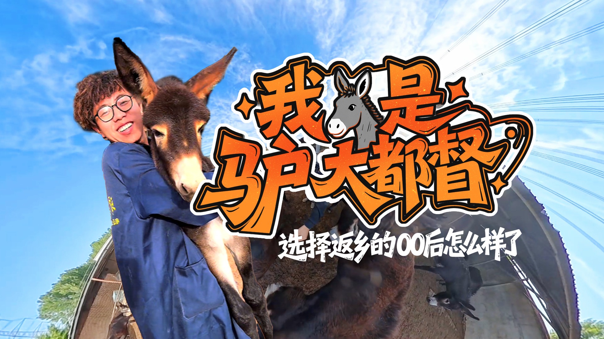 选择返乡的00后怎么样了｜我是“驴大都督”