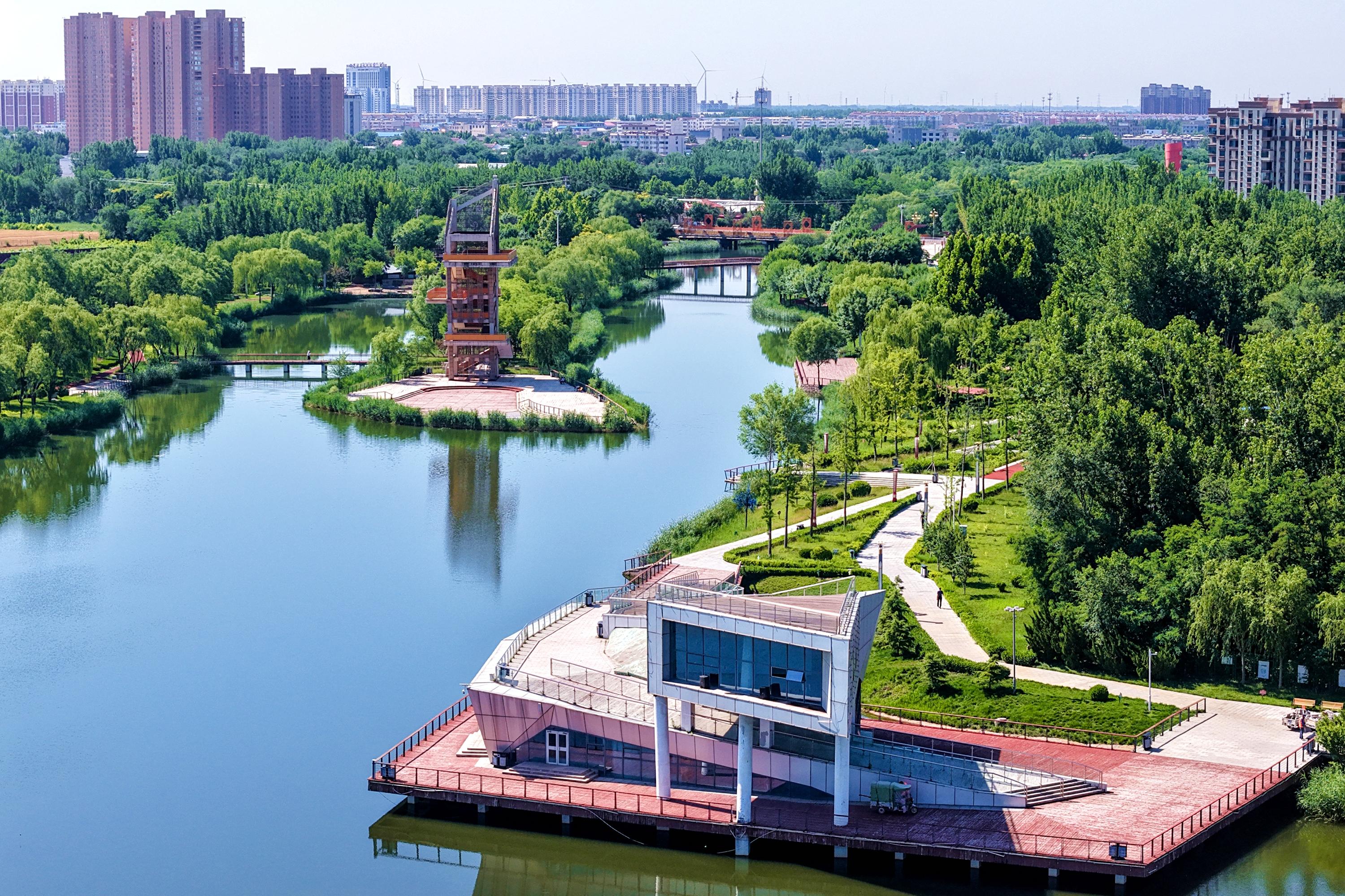 河北枣强：夏日北湖风光好 市民乐享生态休闲时光