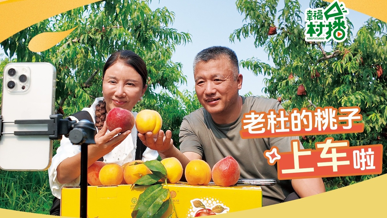 幸福生活开村播丨老杜的桃子“上车”啦