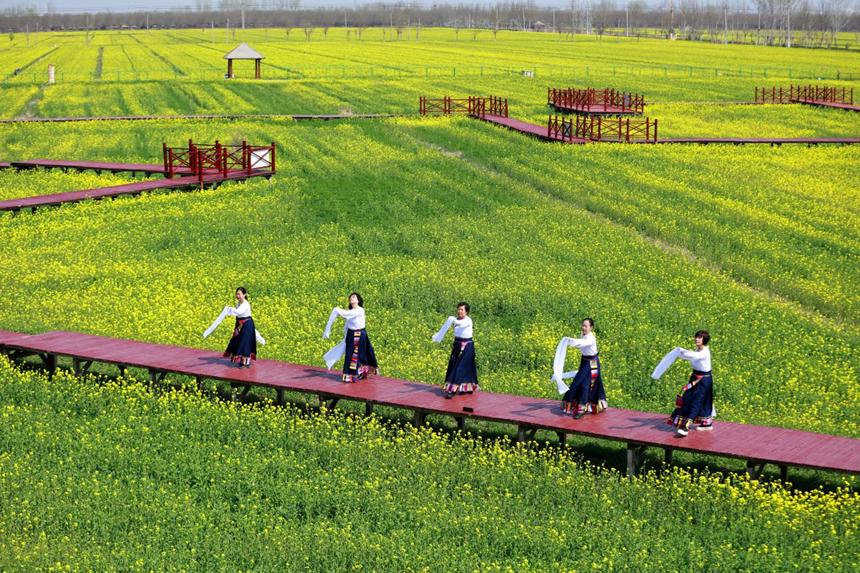 河北杨屯村蝶变记