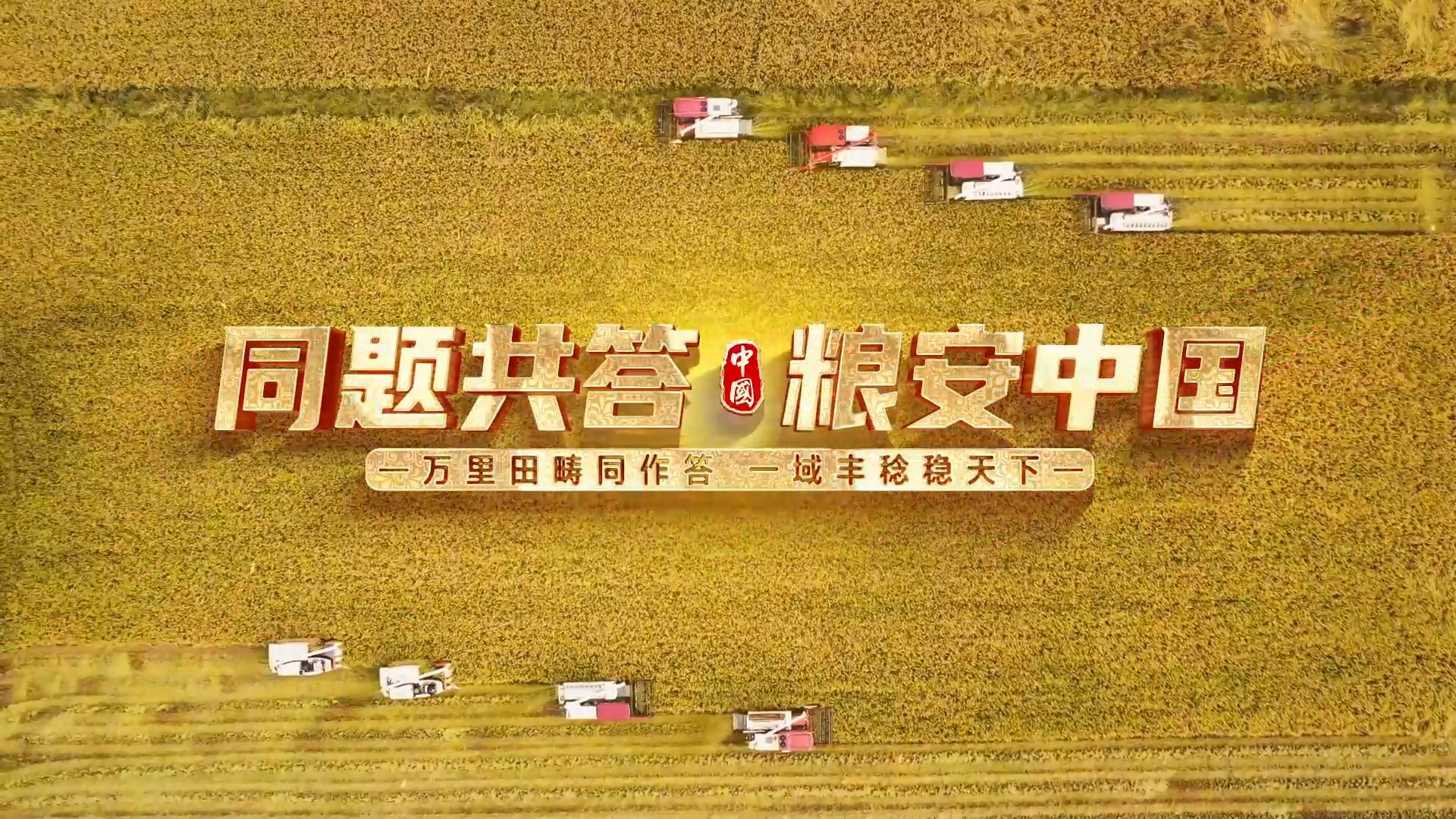 同题共答·粮安中国 | “碱嘎巴地”上的“捷麦”奇迹