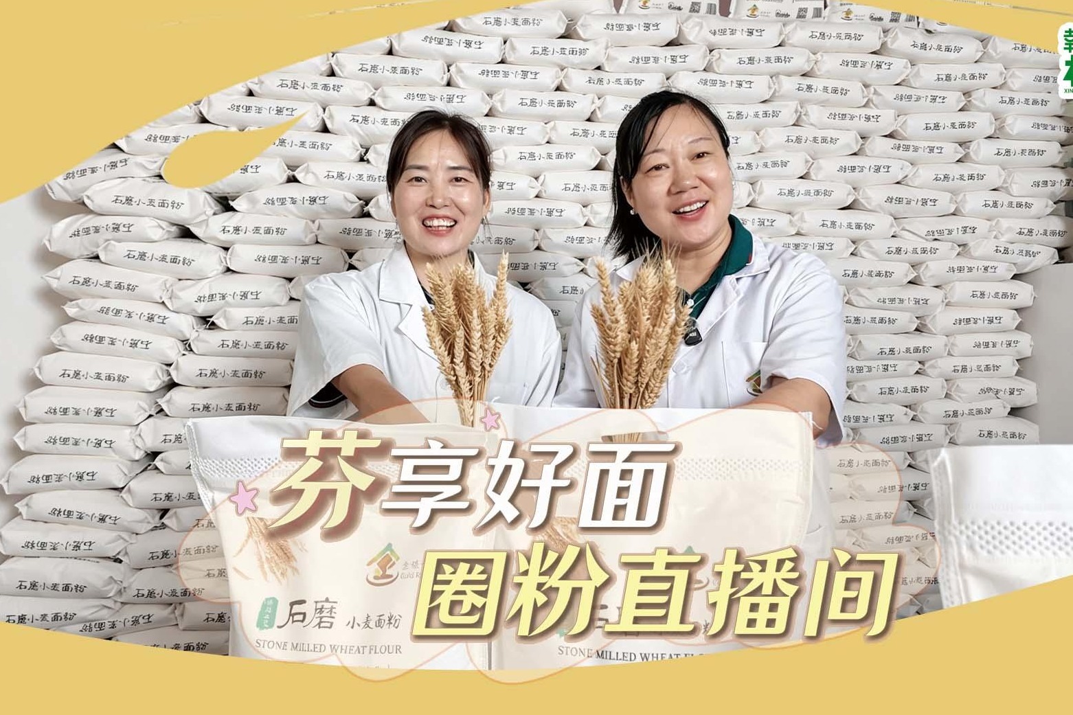 幸福生活开村播丨“芬”享好面 圈粉直播间