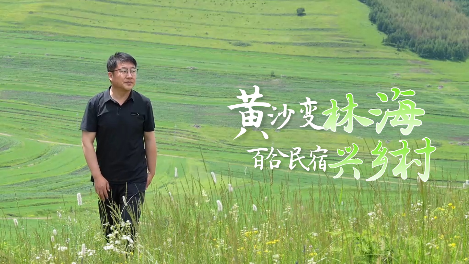 攻坚三北·燕赵“质”变丨黄沙变林海，百合民宿兴乡村