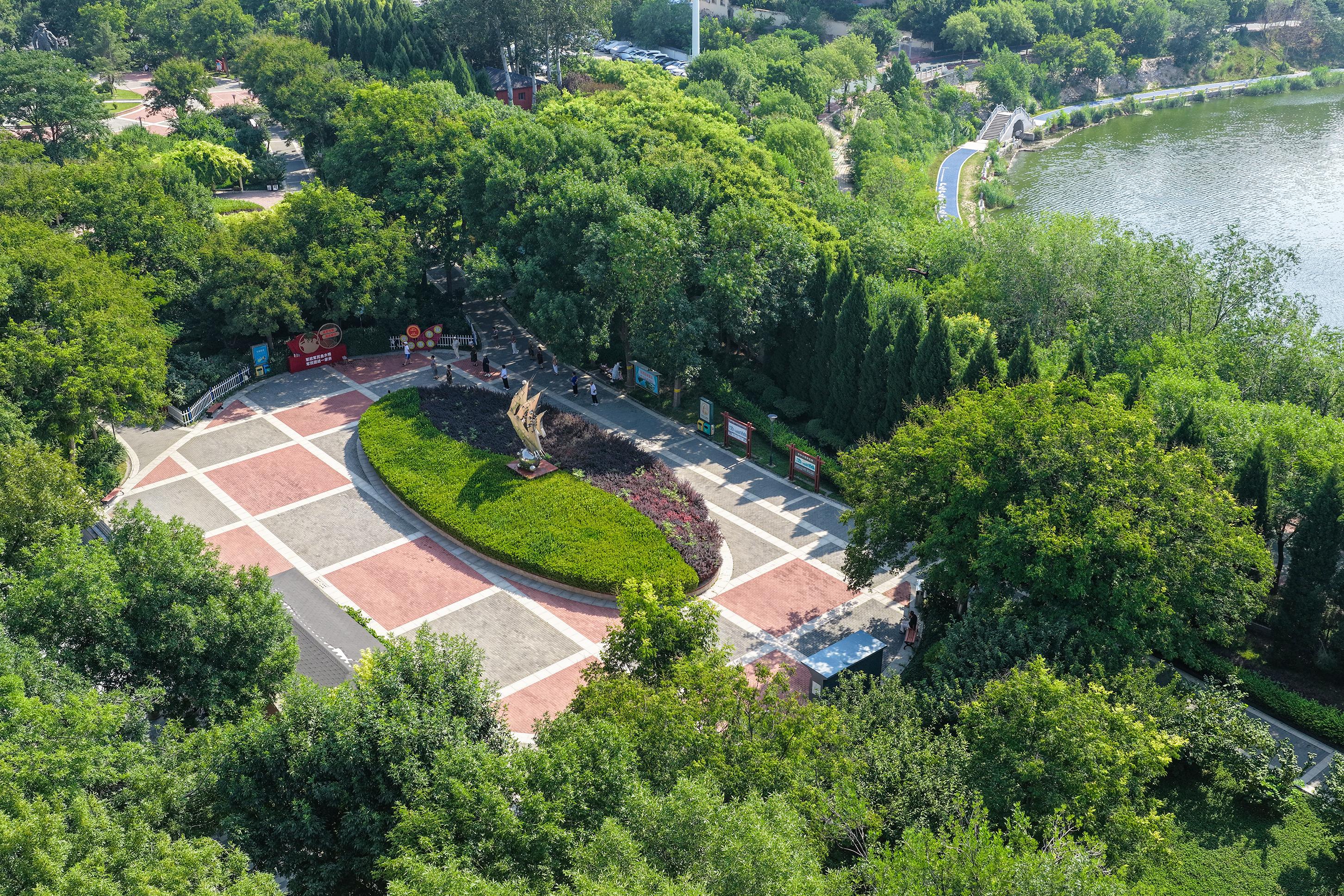 河北衡水：青年公园绘就市民幸福图景