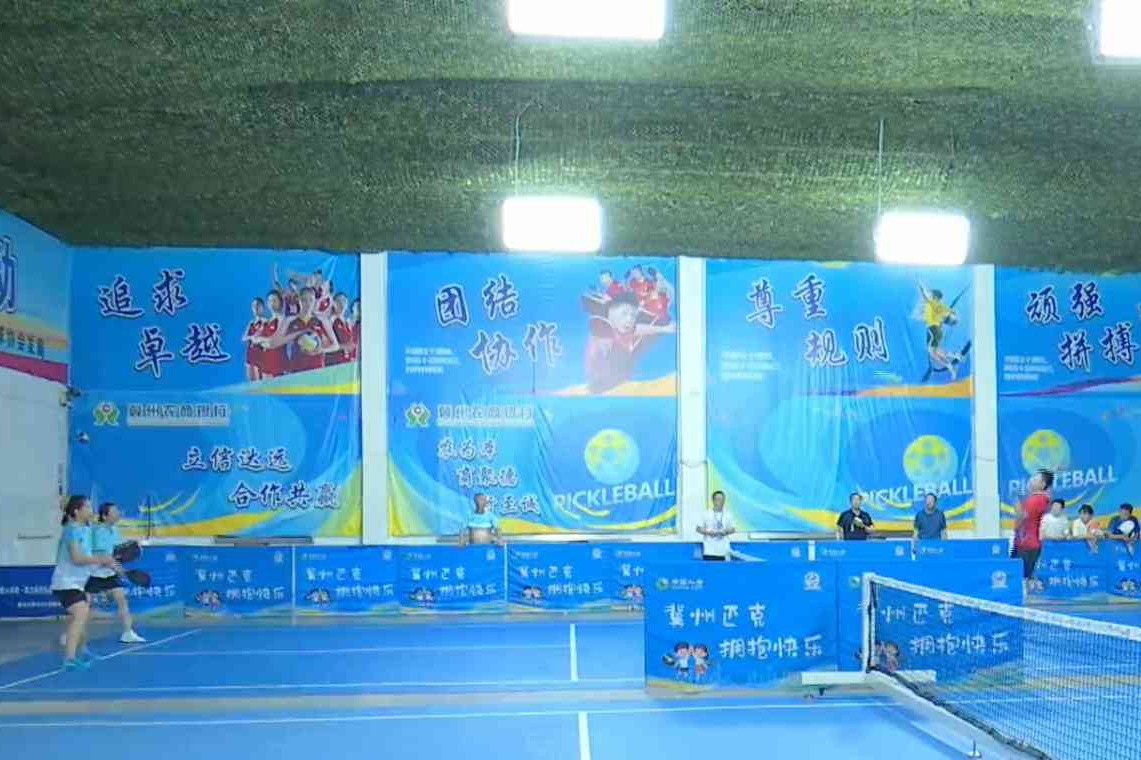 衡水市职工运动会匹克球比赛成功举办