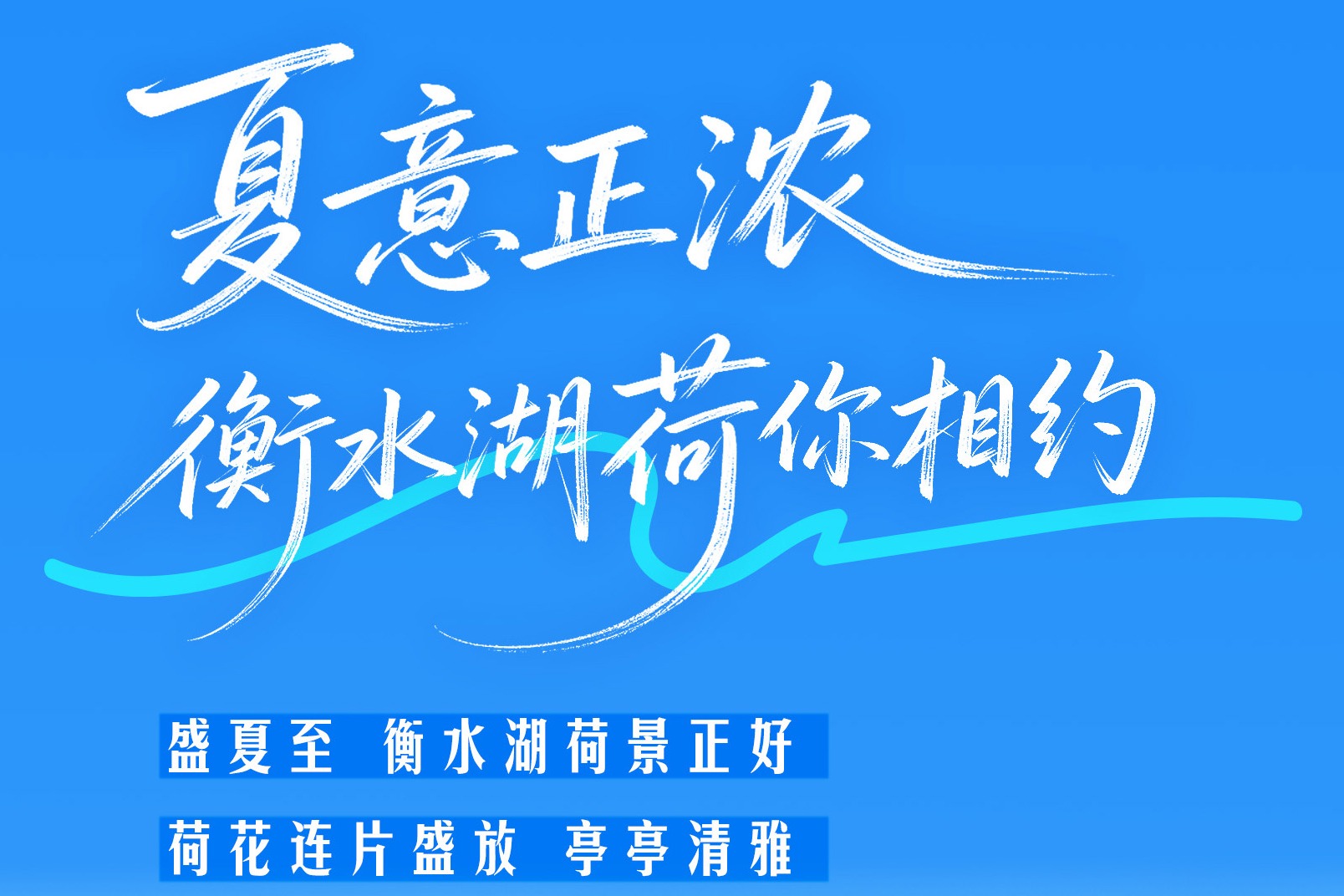 AI长图｜夏正浓，衡水湖“荷”你有约