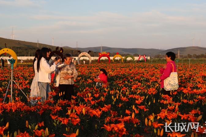 张家口市沽源县第五届花卉旅游文化节启幕