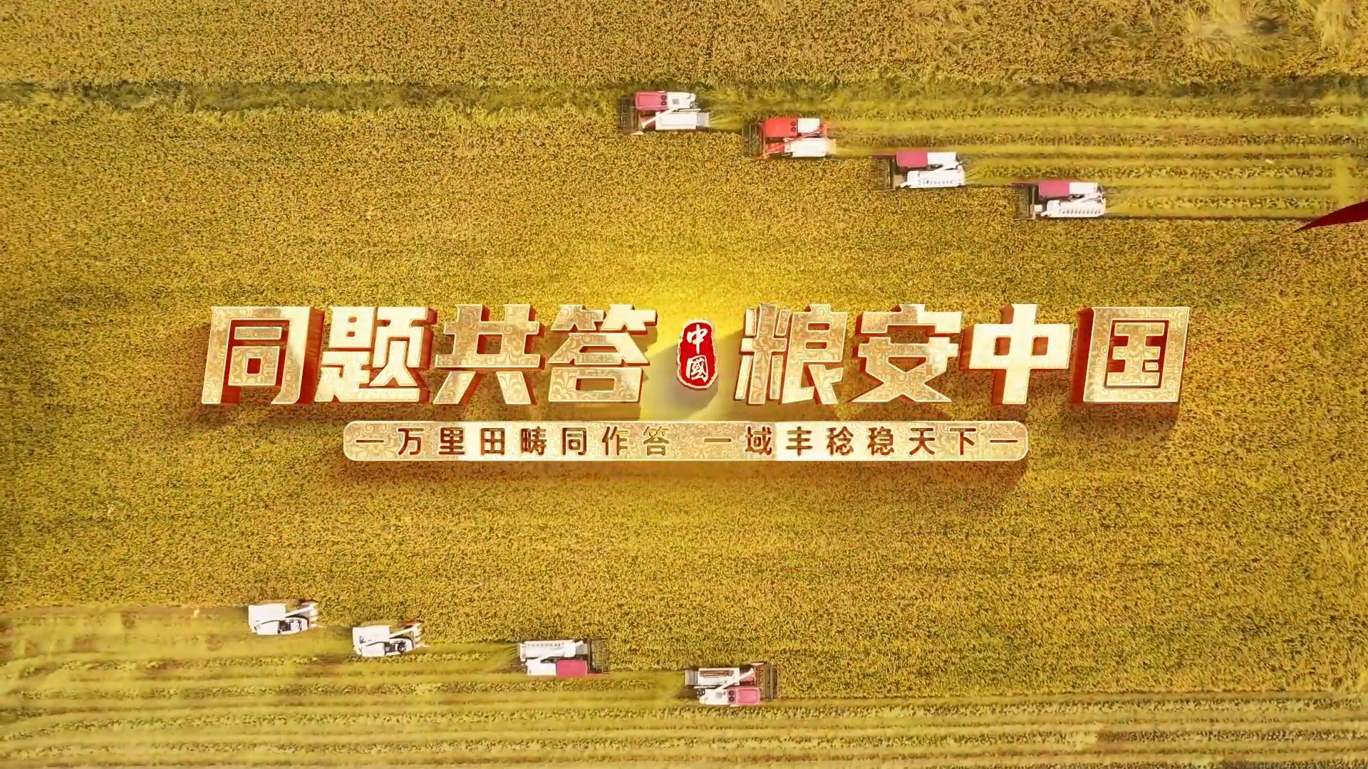 同题共答·粮安中国 | “吨半粮”高产创建的“德州经验” 让“齐鲁粮仓”满当当