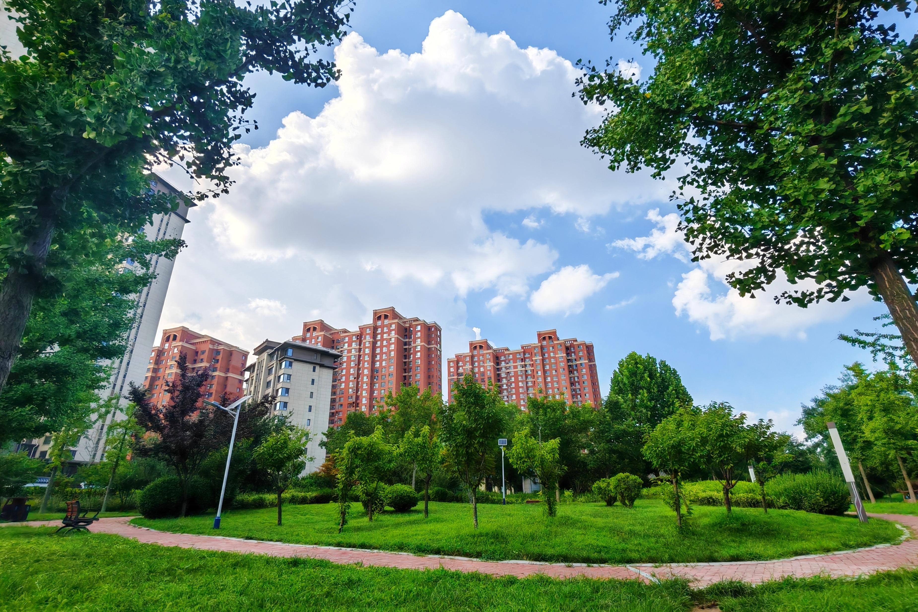 衡水滏阳公园：夏日休闲纳凉好去处