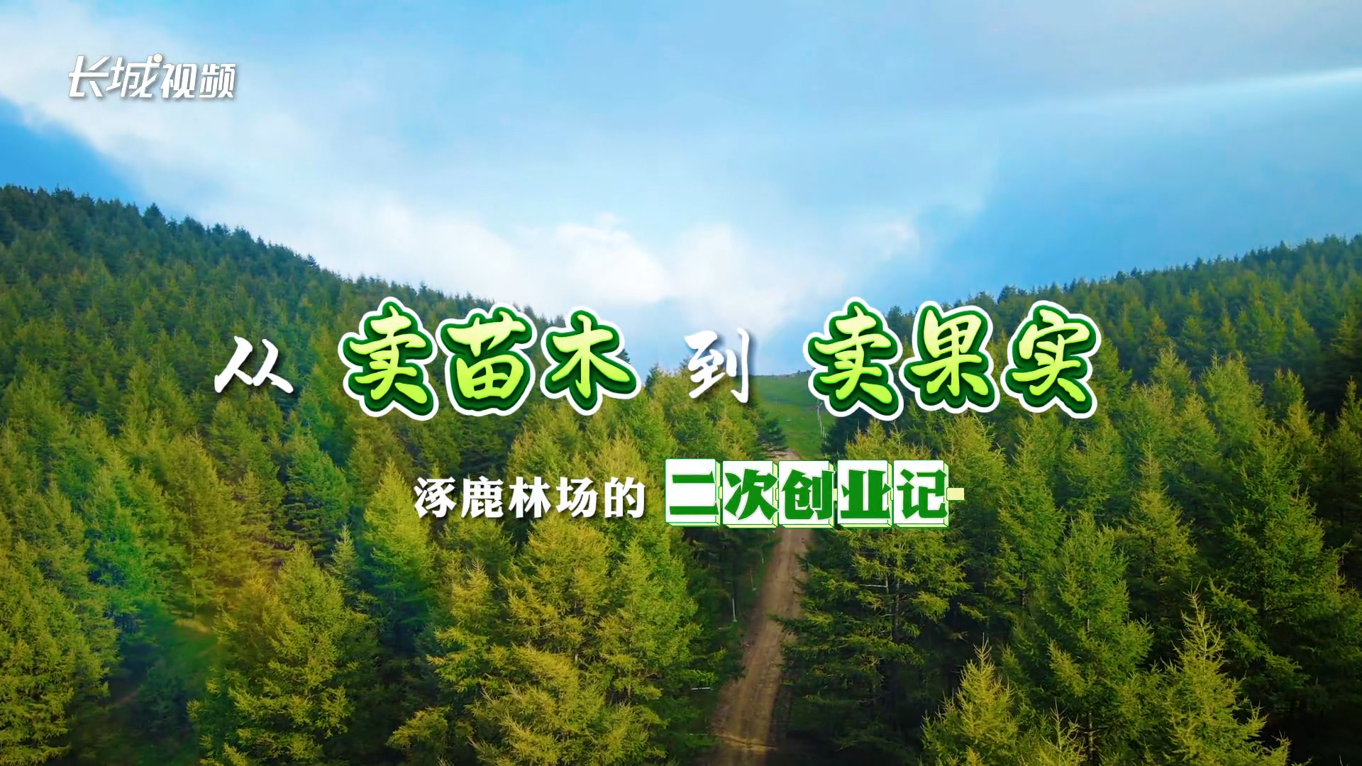 改革“林”距离 |从“卖苗木”到“卖果实”——涿鹿林场的“二次创业”记