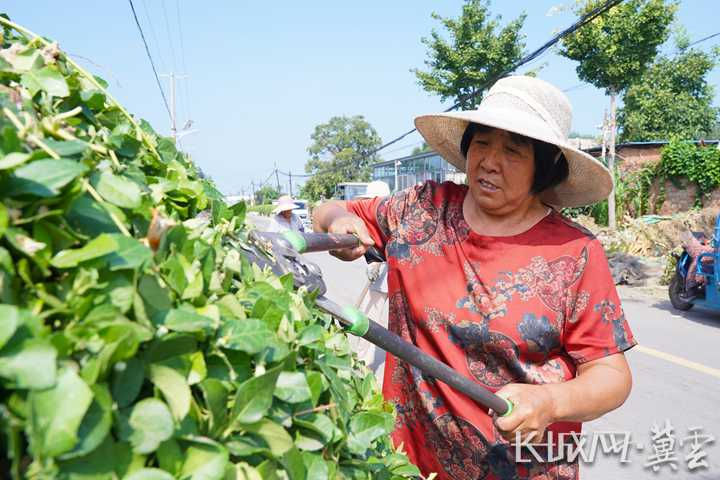 唐山滦南：银发聚力 乡韵新生