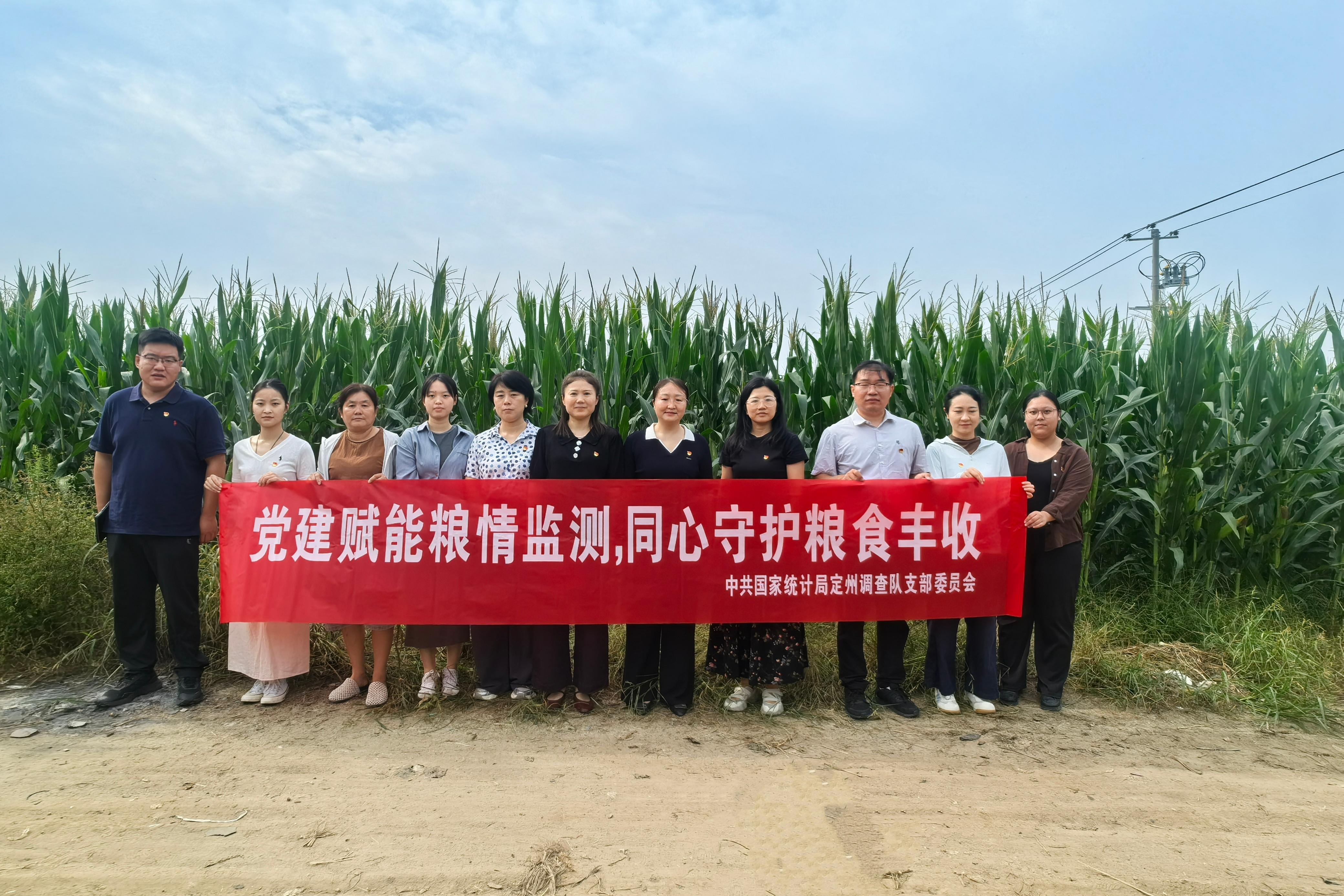 定州：田间把脉农情 护航秋粮稳产