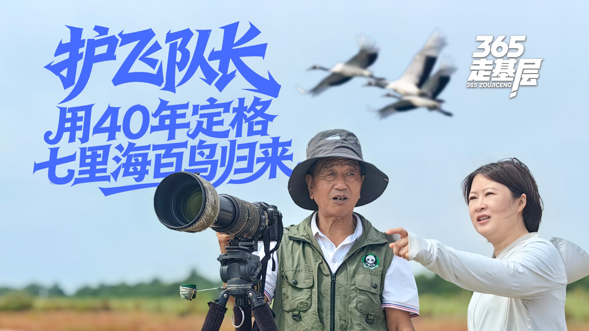 365走基层丨“护飞队长”用40年定格七里海百鸟归来