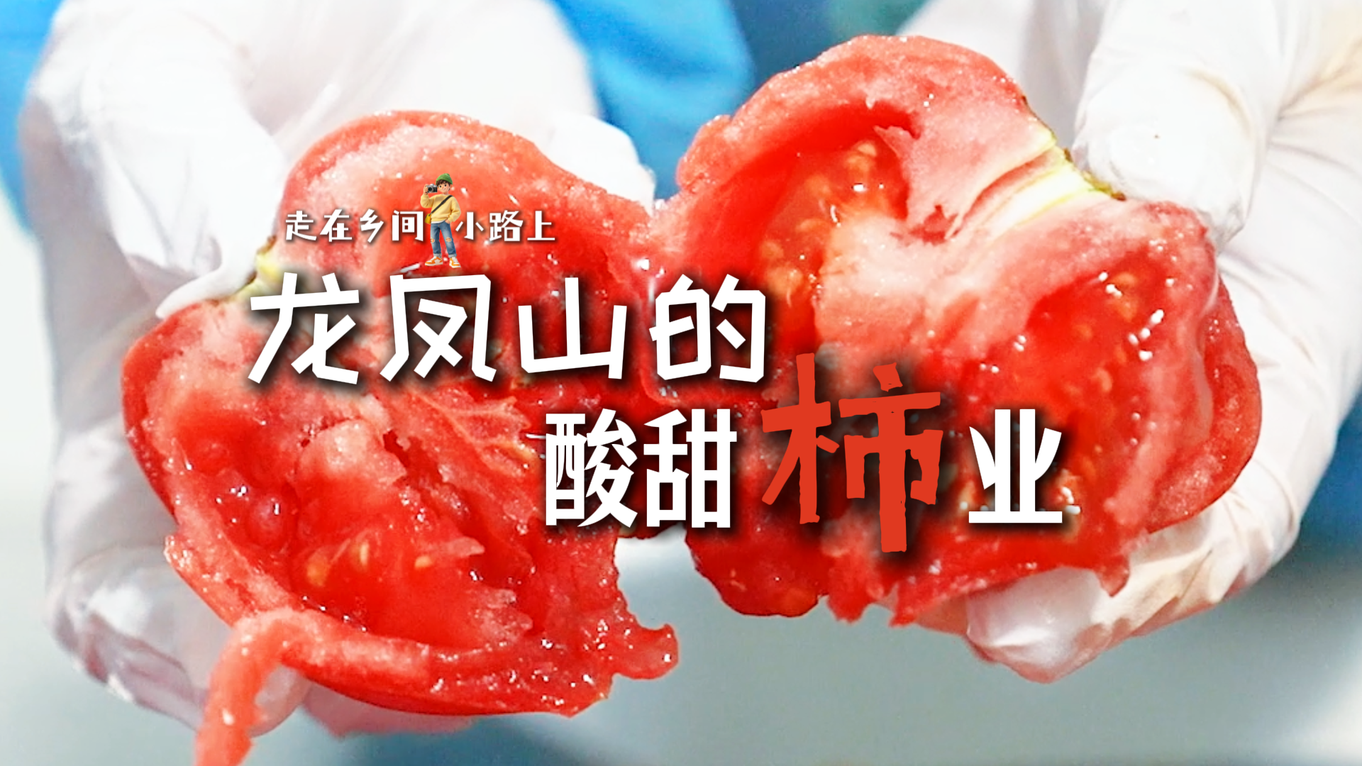 走在乡间小路上丨龙凤山的酸甜“柿”业