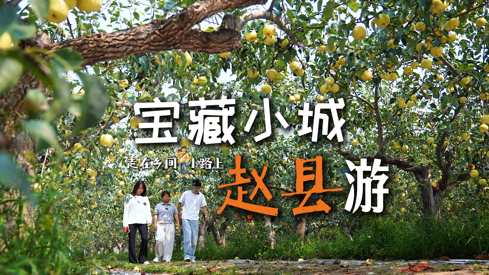 走在乡间小路上丨宝藏小城赵县游