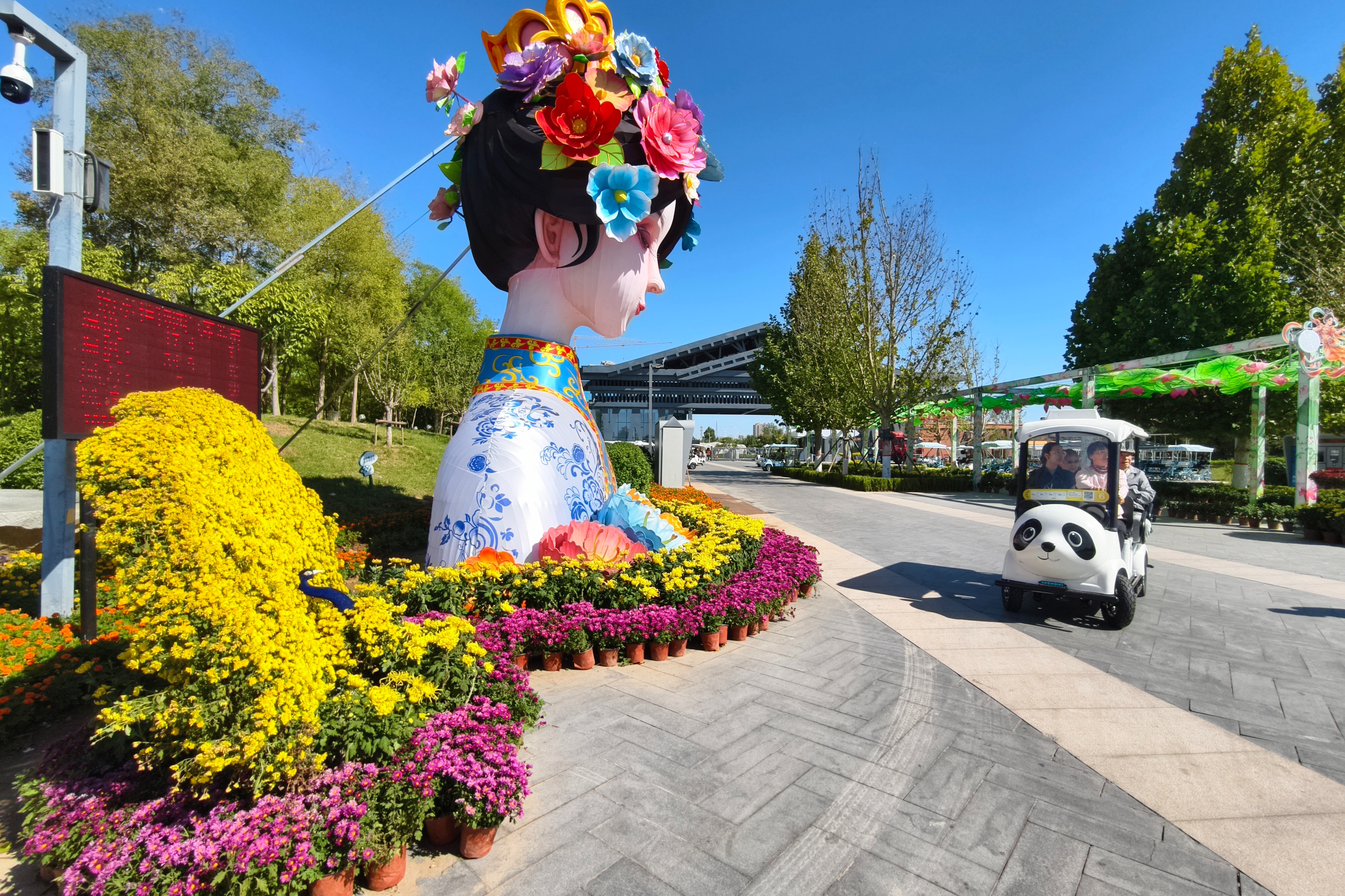 衡水植物园金秋菊展亮相国庆假期