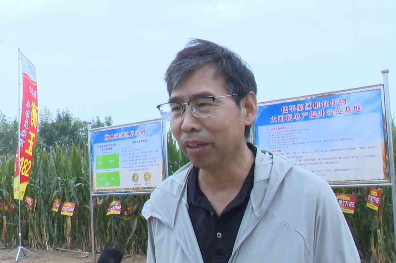 河北省农科院旱作所举办衡玉系列玉米新品种观摩会