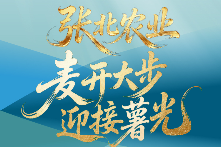 长图丨张北农业：“麦”开大步 迎接“薯”光