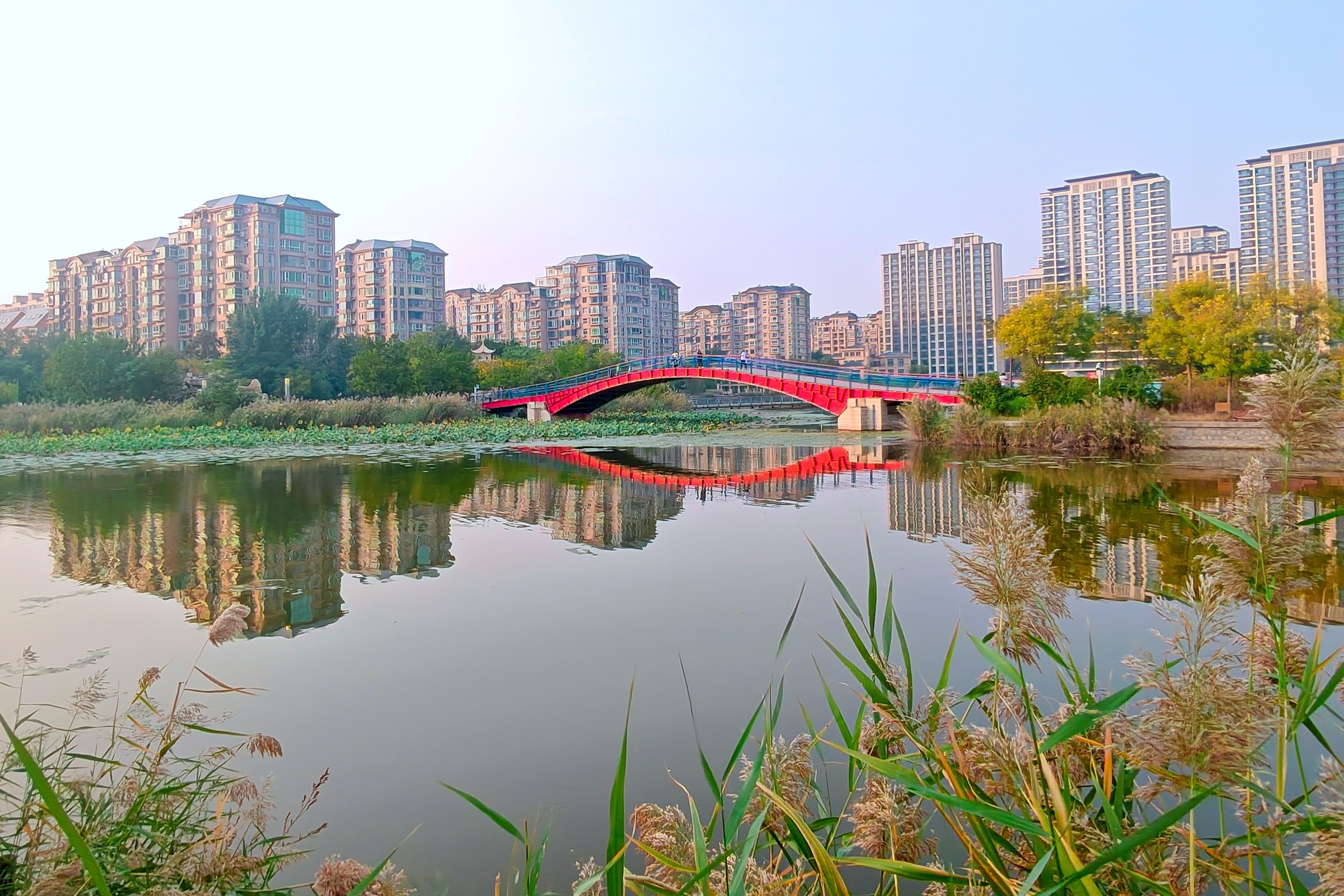 河北衡水：怡水园邂逅秋日荷塘美景