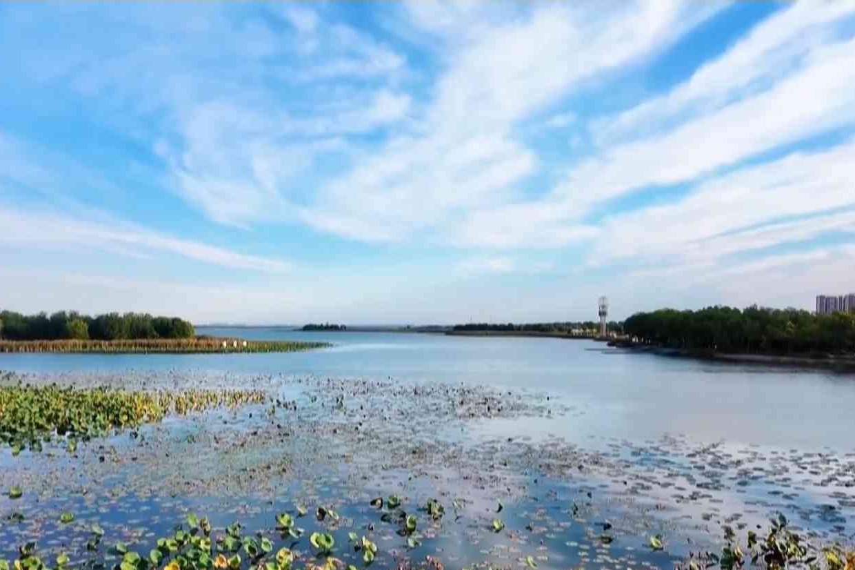 迎着晨光奔跑衡水湖畔，沉浸式感受湿地好生态
