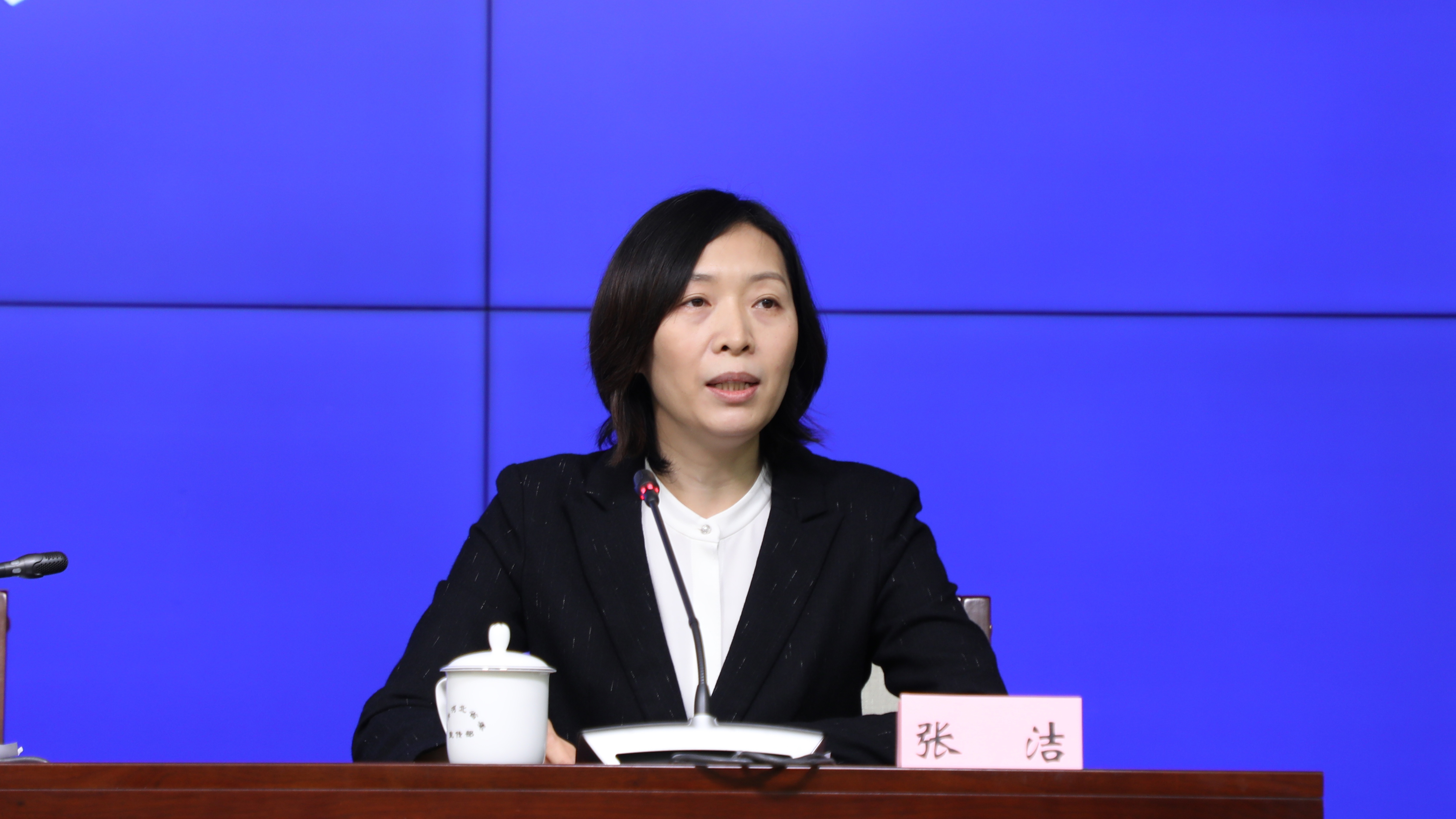 河北省科技厅科技平台与基础研究处处长张洁表示:科技创新平台是科技